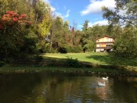 pond and house.JPG