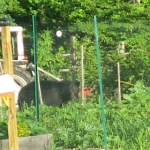 image-548301129.png