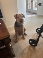 IMG_1630.jpeg
