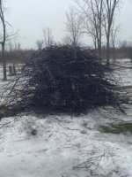 IMG_0154.jpg