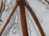 L820 078.jpg L820 078.jpg