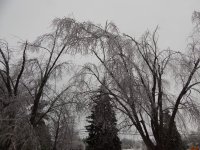 L820 090.jpg L820 090.jpg