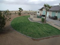 Yard2.jpg