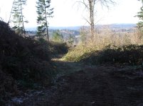 DSC00927.jpg
