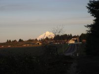 DSC00933.jpg