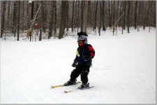 564069-Skiing.jpg