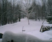603604-Done from Deck.jpg