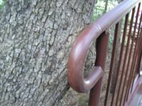 517988-treeknob.jpg