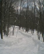 603885-From Drive End No JD.jpg