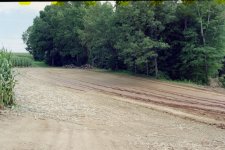 475974-panning.jpg