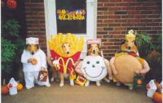 519084-Halloween Dog.jpg