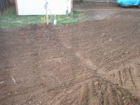 417424-Worked ground.JPG