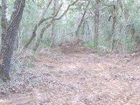 565906-trailsend.jpg