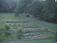604363-garden.jpg