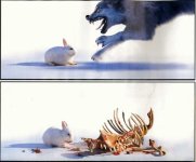 433374-fox_and_rabbit.jpg