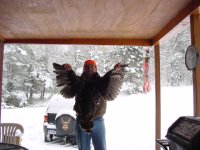 433626-great turkey.jpg