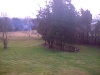605237-BX23 & burnpile5.jpg_0001.jpg