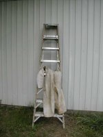 433753-Ladder nest.jpg
