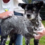 434020-Bath Time!.jpg