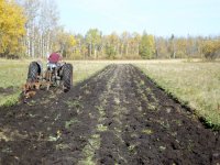 plow4.jpg