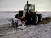 IMG-20110205-00119.jpg