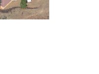 Yard before the project started.jpg