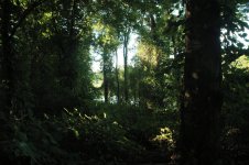 IMG_9136.jpg