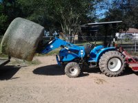 GS3038 w Hay.jpg
