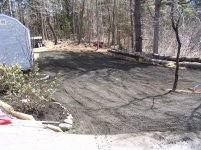 Picture 124.jpg
