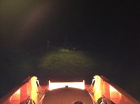 lights9.jpg