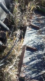 ForumRunner_20131104_145924.png