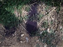 something on the ground.jpg