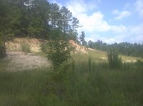 IMG_20130807_114149.jpg
