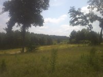 IMG_20130807_114205.jpg