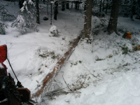 ForumRunner_20140119_144812.png