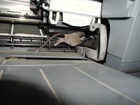 Mouse.JPG
