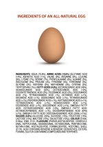 ingredients-of-an-all-natural-egg2.jpg