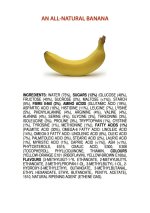 ingredients-of-an-all-natural-banana-poster.jpg