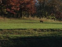 IMG_1579.jpg