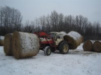 4 bales at the time.jpg