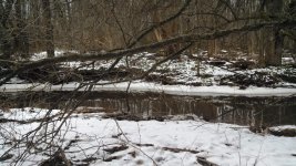 IMG_20131228_104621_087.jpg