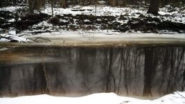 IMG_20131228_104707_592.jpg