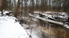 IMG_20131228_104715_884.jpg