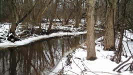IMG_20131228_104722_229.jpg
