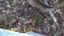 VIDEO0071_0000100396.jpg