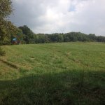 IMG_1136.jpg