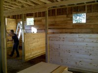 Stable 12D.jpg