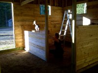 Stable 12E.jpg