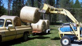 Hay and Lilly Sept 2011 006.JPG