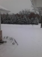 04-DEC Snowfall.jpg